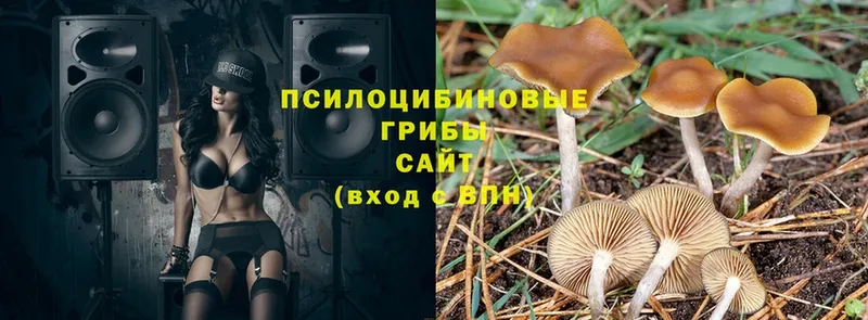 Псилоцибиновые грибы ЛСД Ленинск